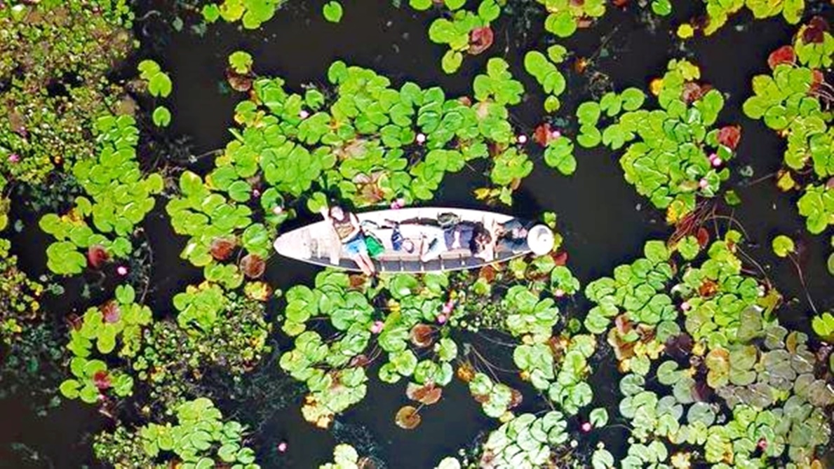 【佛統府】旅遊新體驗，紅蓮花水上市場Red Lotus Floating Market乘船漫遊蓮花池，空拍機幫拍網美照，輕鬆閒逛當地小市集
