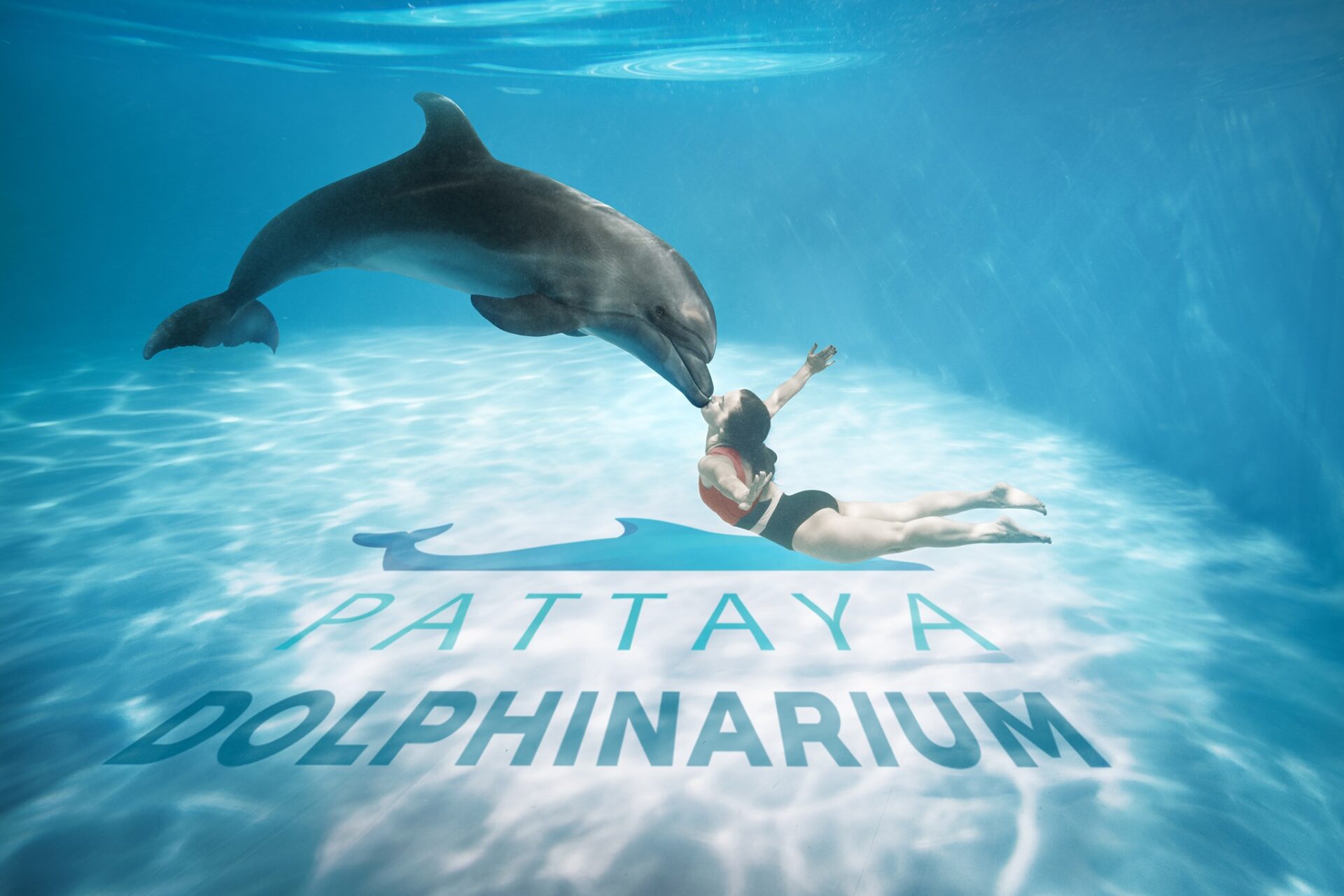 【泰國國旅】活動票券：Pattaya Dolphinarium 芭達雅海豚之家