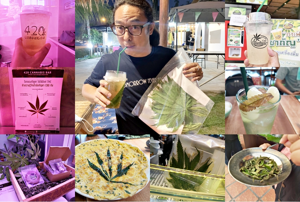【泰國美食】泰國特殊體驗，大麻餐廳、大麻飲料店、大麻甜點，一次介紹3間讓你生活中充滿綠色正能量