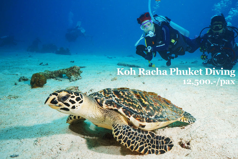 【泰國國旅】活動票券：Koh Racha Phuket 普吉拉查島潛水課程體驗