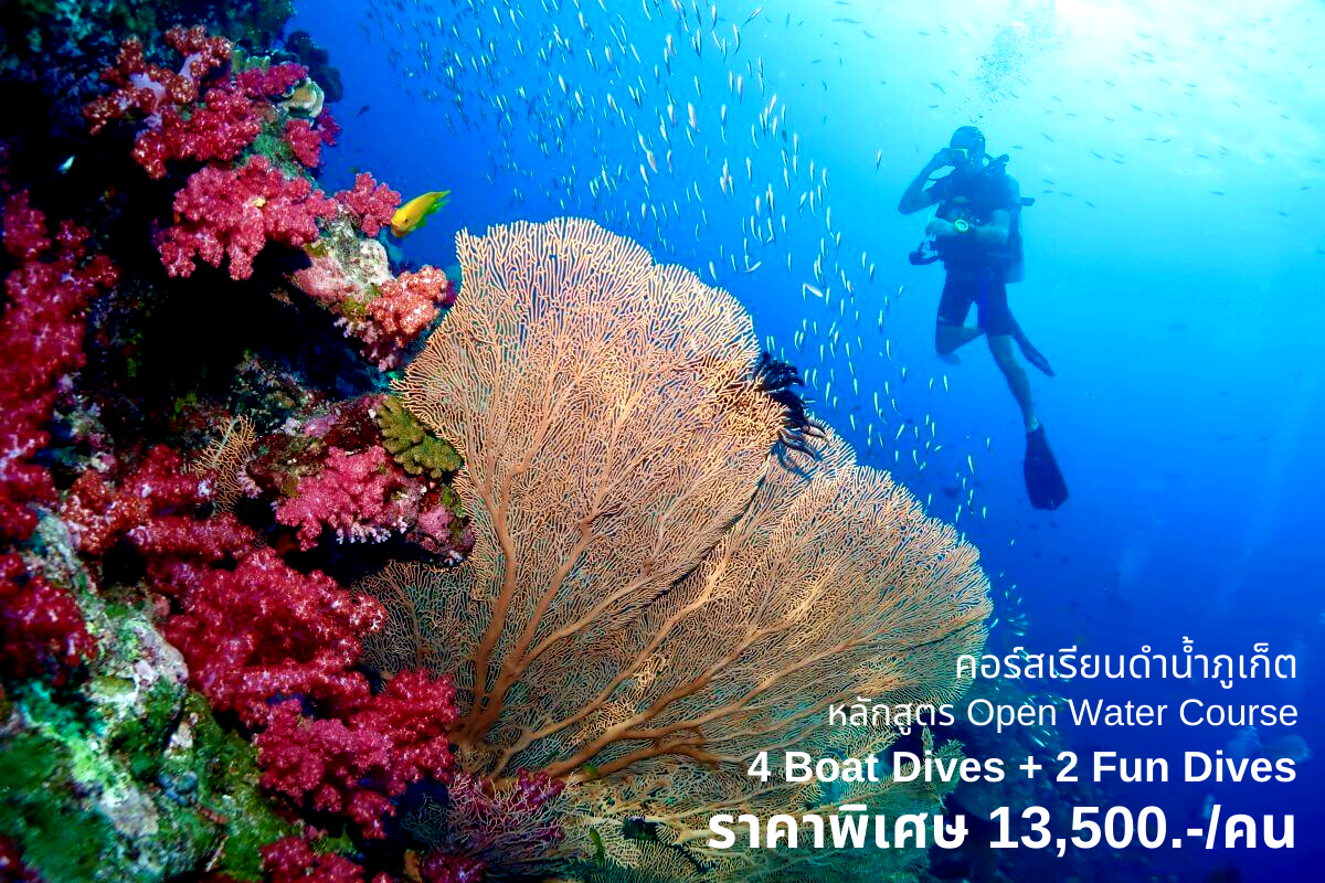 【泰國國旅】活動票券：Koh Raya Phuket 普吉皇帝島潛水課程體驗