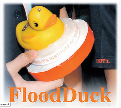 flood duck.jpg