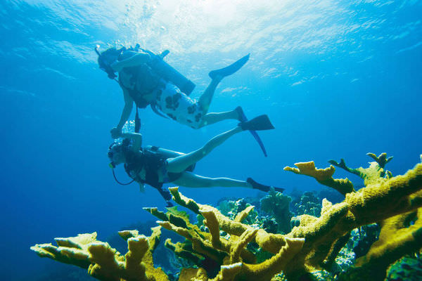 Breezes-scuba-diving